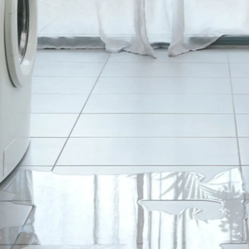 Appliance Leak Cleanup in Gibson, GA