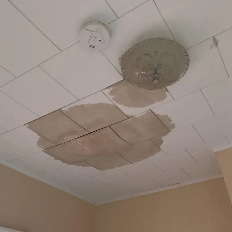 Ceiling Water Damage Repair in Gibson, GA