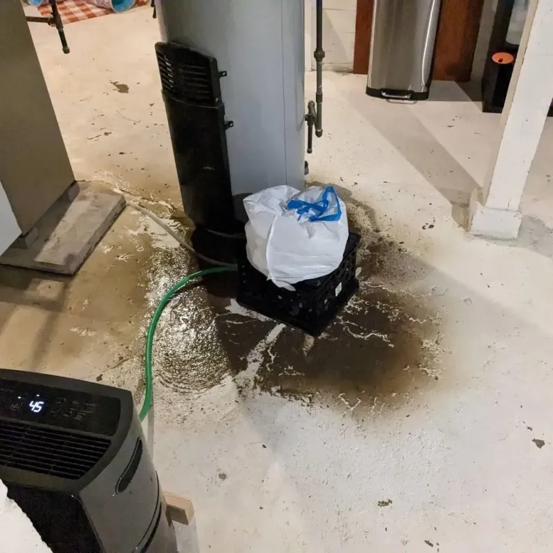 Sewage Backup Cleanup Service in Gibson, GA